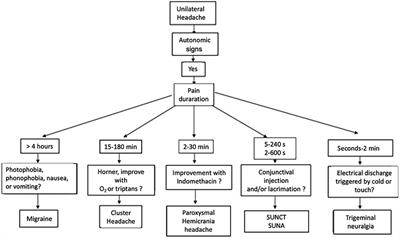 Cluster headache: an update on clinical features, epidemiology, pathophysiology, diagnosis, and treatment